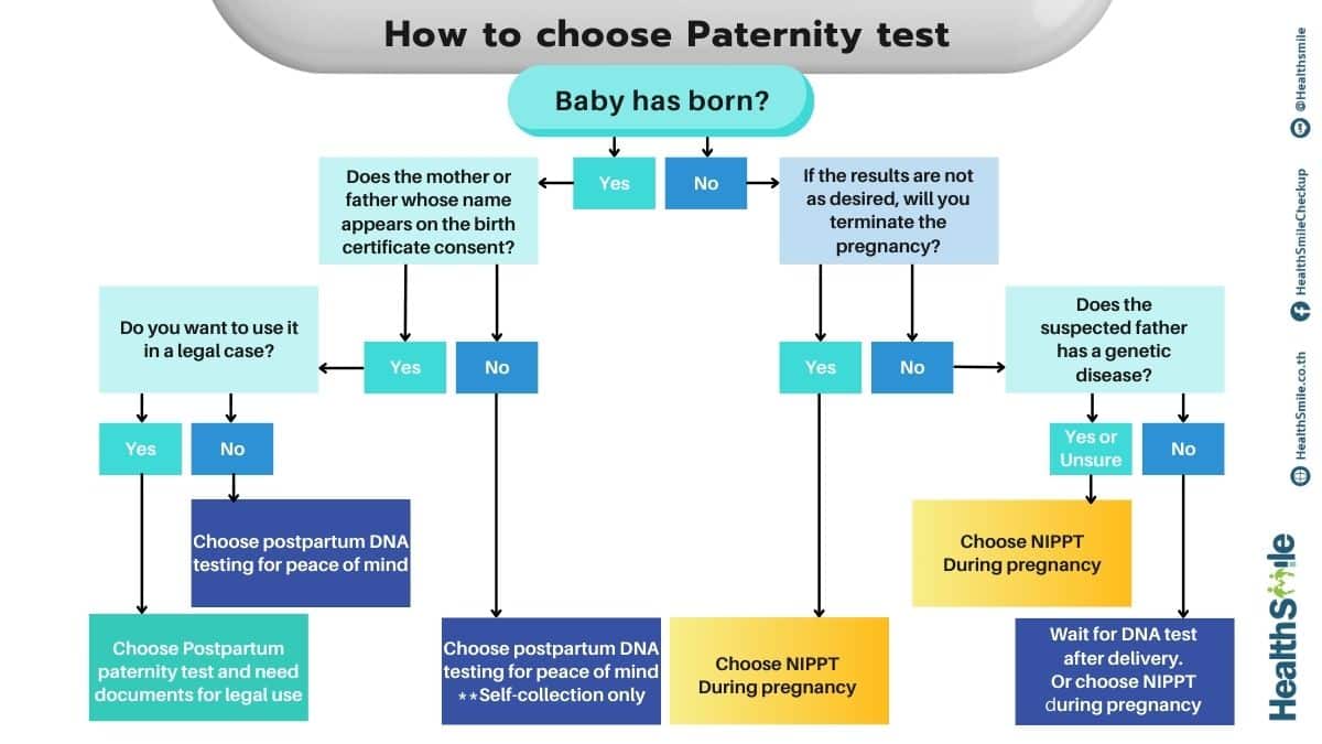 Paternity test Decision Tree Chart Presentation English