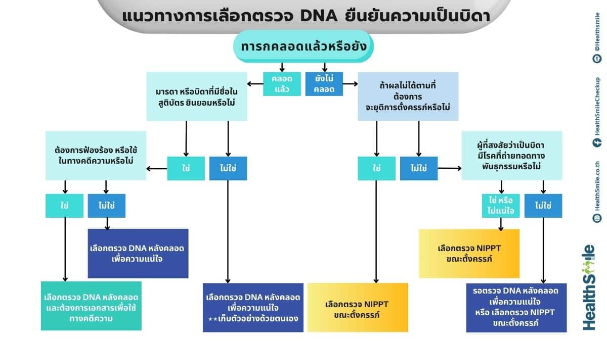Paternity test Decision Tree Chart Presentation