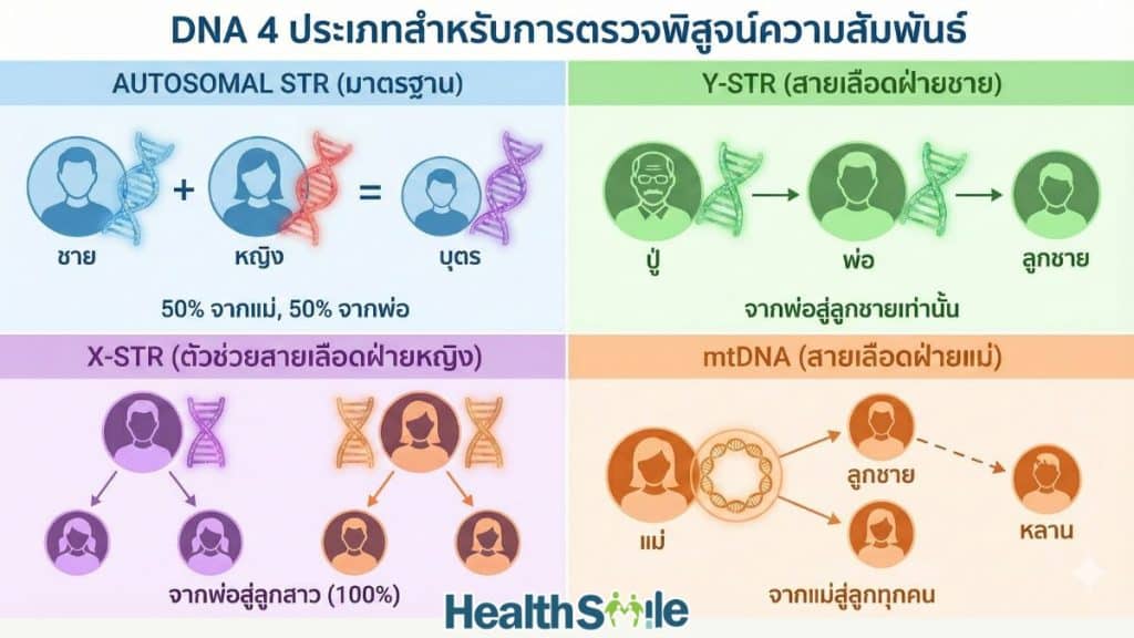 สรุปครบ 4 ประเภท DNA (Autosomal, Y-STR, X-STR, mtDNA) เลือกตรวจแบบไหนให้ได้ผลแม่นยำที่สุด? คู่มือเลือกวิธีตรวจพิสูจน์ความสัมพันธ์ที่เหมาะกับครอบครัวคุณ